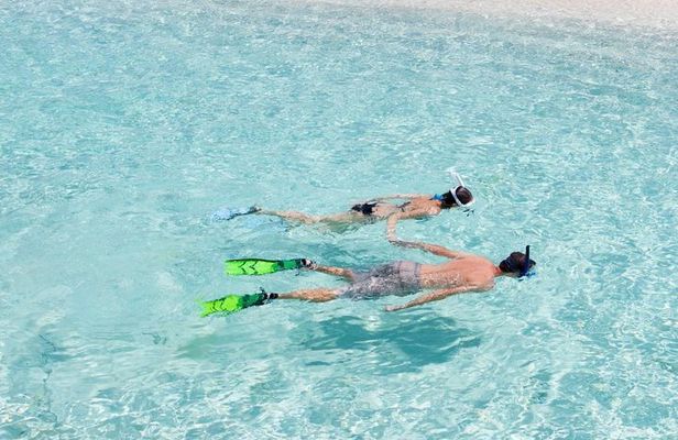 Catalina Island Scuba Diving and Snorkeling Tour from Punta Cana