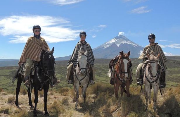 Horseback Riding and Cotopaxi National Park Day Trip