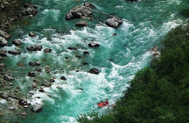 Tara River Rafting Full Day Trip from Kotor