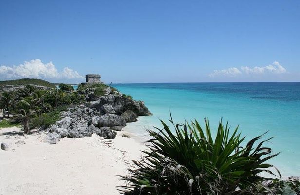 Tulum and Cenote Casa Tortuga Day Trip