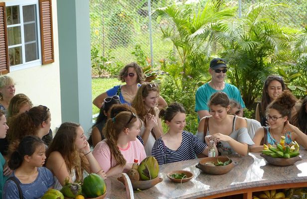 Essence of St Lucia Heritage Experience