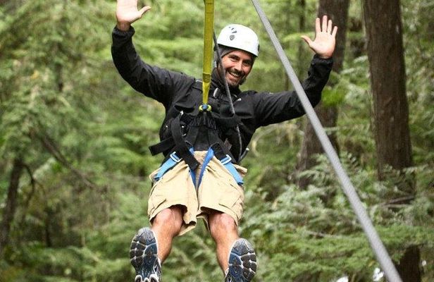 Rainforest Canopy Adventure from Vieux Fort or North Island, St Lucia
