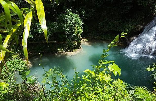Blue Hole Tour From Ocho Rios