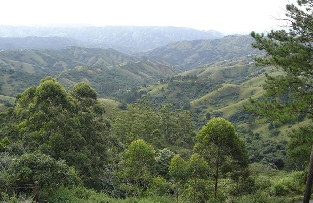 Durban Shore Excursion: Valley of 1000 Hills and PheZulu Tour