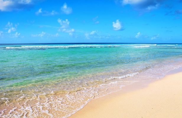 Barbados Coastal Tour 