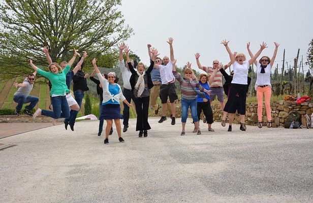 Half-Day Chianti Tour to 2 Wineries with Wine Tastings and Meal