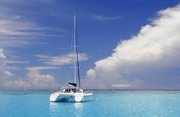 Full-Day Northern Catamaran Cruise: Coin de Mire and Ile Plate Island
