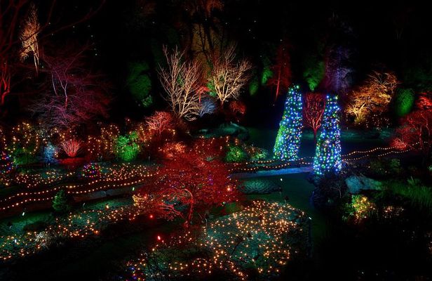 Enchanted Christmas Lights The Butchart Gardens: Entry included!