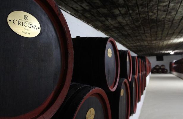 GROUP - Cricova Winery, Old Orhei and Curchi Monastery