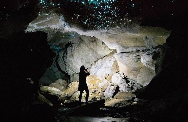 3-Hour Private Photography Tour in Waitomo Caves