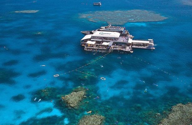 Quicksilver Outer Great Barrier Reef Snorkel Cruise from Palm Cove