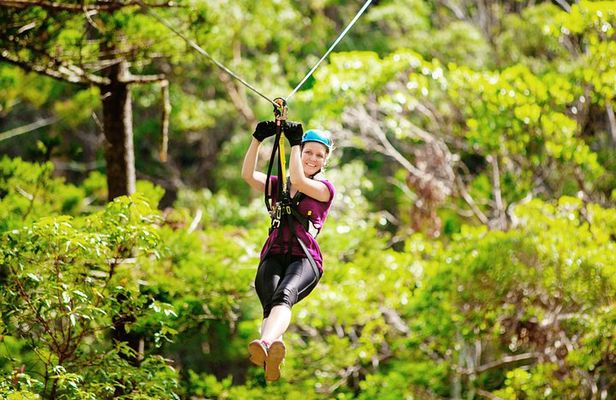 Gold Coast Canyon Flyer Zipline Tour