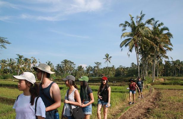 Trekking and Sightseeing tour with lunch