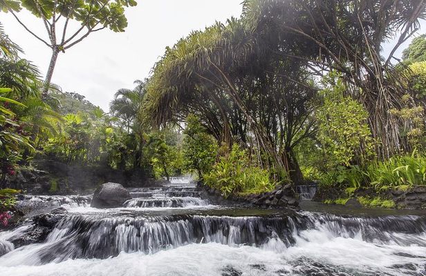 Day Trip from San Jose to Tabacon Hot Springs Resort & Spa