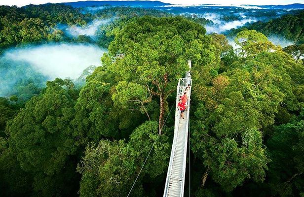 Day trip from San Jose to Monteverde Cloud Forest & Sky Adventure Park
