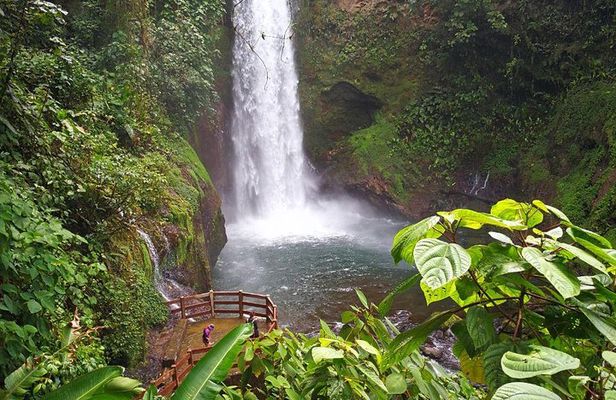 La Paz Waterfall Gardens and Wildlife Refuge Tour from San Jose