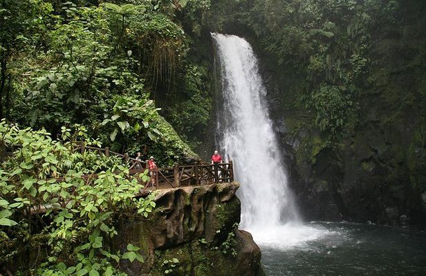 Day Trip from San Jose to La Paz Waterfall Gardens & Safari in Sarapiqui River