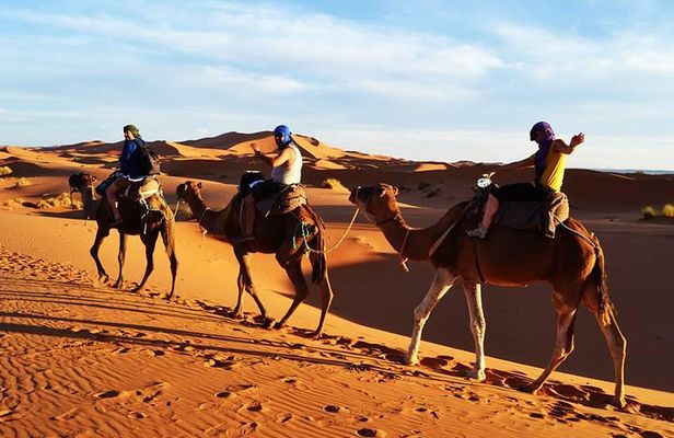Camel ride & overnight in desert camp