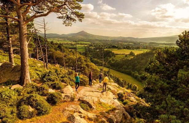 Dublin to Wicklow, Glendalough Small Group Tour with Guided Walk 