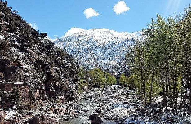 Ourika Valley including Camel Ride Lunch and Guided Hike Day Tour from Marrakech