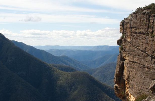 Inside the Greater Blue Mountains World Heritage - A Wildlife Safari Overnight