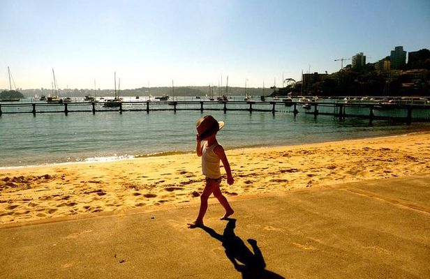 Morning or Afternoon Highlights Tour in Sydney with a Local Guide