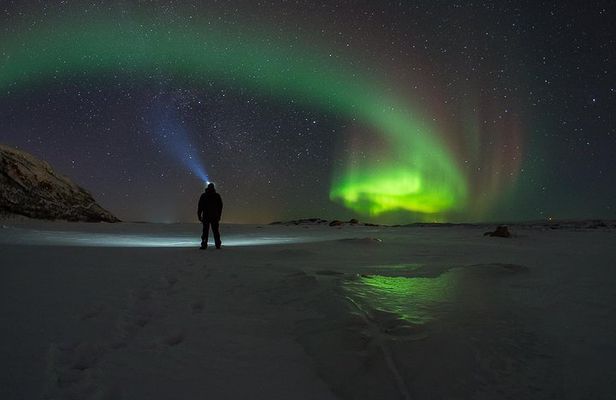Tromsø: Northern Lights Chase Minibus Tour
