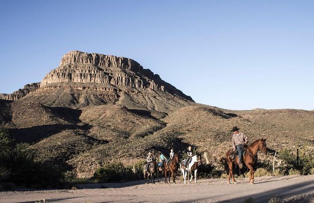 Western Ranch Overnight Experience: Cabin or Camp Out