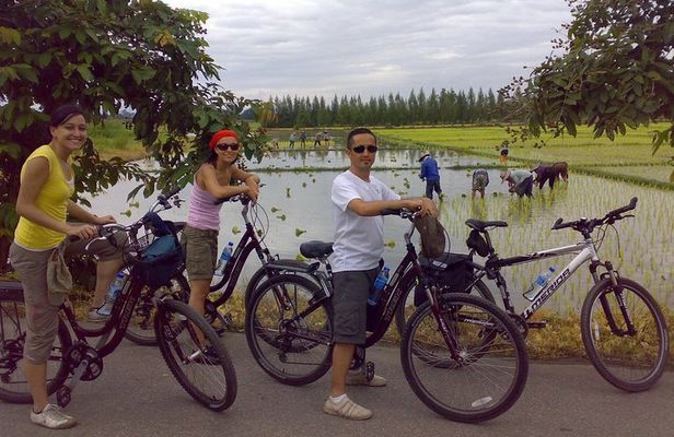 Chiang Mai Paradise Full-Day Cycling Adventure Tour