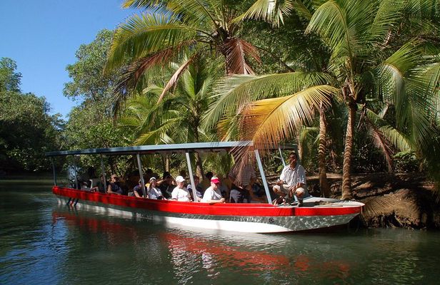 Damas Island Mangrove Boat Tour from Jaco