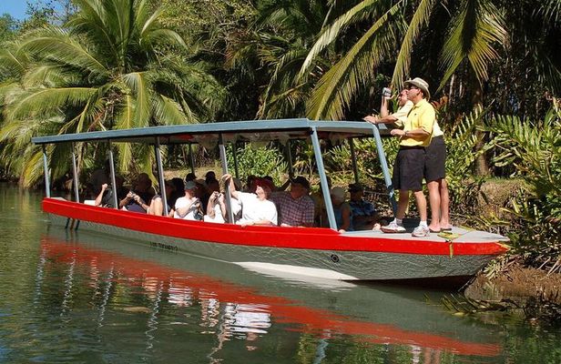Damas Island Mangrove Boat Tour from Manuel Antonio