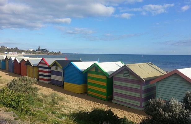 Custom Private Day Tour Melbourne to all surrounding areas for up to 11 people