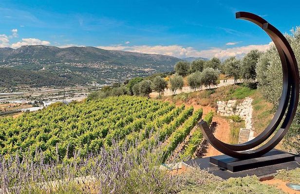 Provence Organic Wine Small Group Half Day Tour with Tastings from Nice