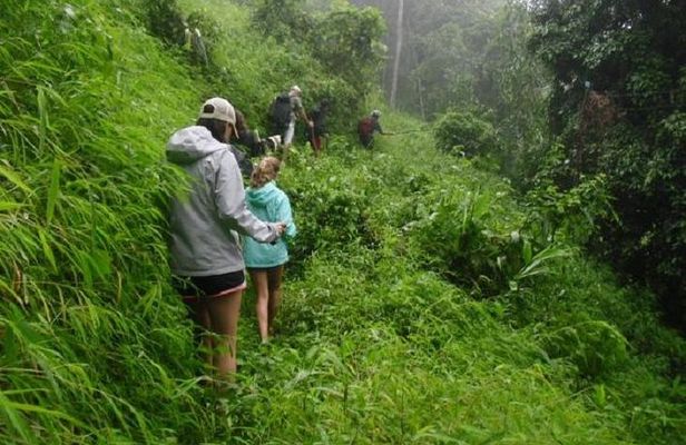 Hiking and Zipline Private Tour from Chiang with Karen Village