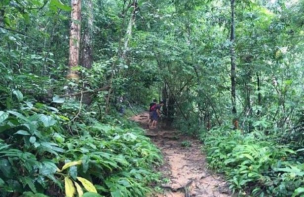Trekking at the Monk Trail and Doi Suthep Temple Private Tour