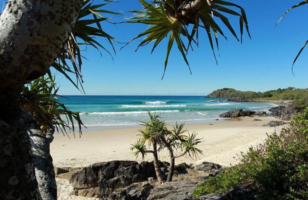 Byron Bay  The Official  Guide