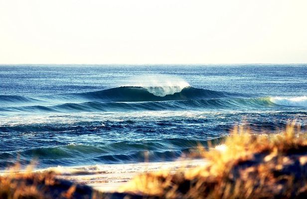 7-Day Byron Bay, Evans Head and Moonee Beach Surf Safari from Brisbane, Gold Coast or Byron Bay