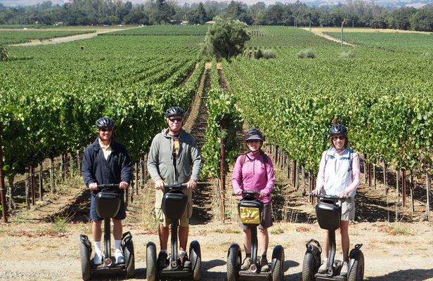 Sonoma County Wine Segway Tour