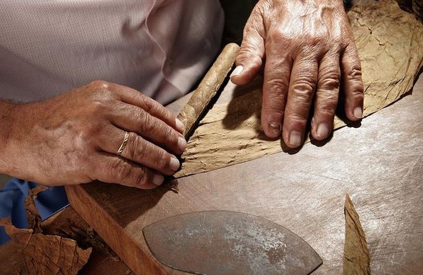 Cigar Rolling Lesson in Nassau