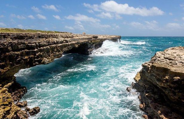 Island Safari 4x4 Discovery Tour from St John's