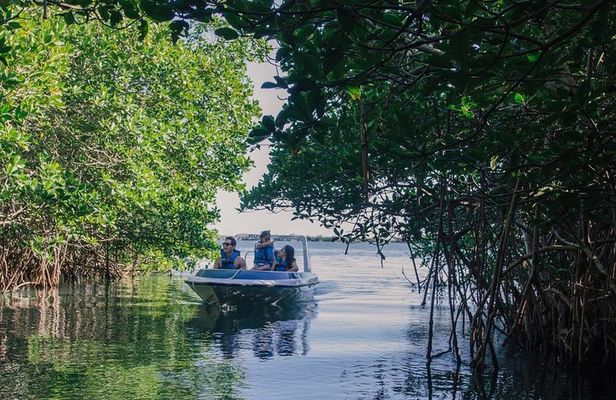 Cancun Mangrove Channel Adventure with Transportation