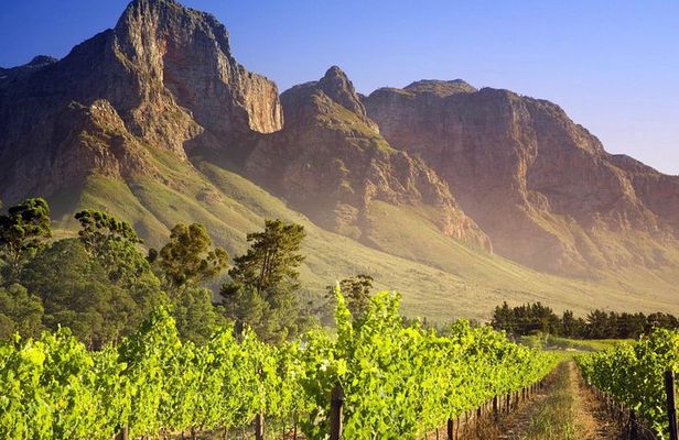 Private Cape Winelands Guided Full Day Tour from Cape Town