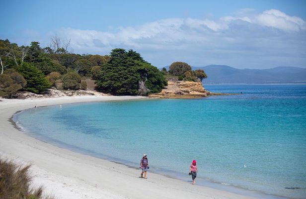 Maria Island Active Day Tour from Hobart