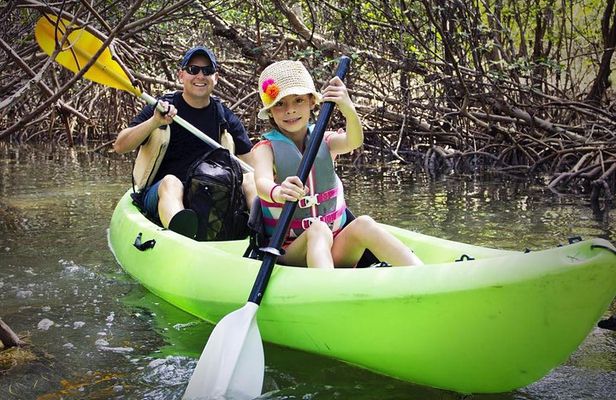 Fully Guided Kayaking Backwater Manatee and Dolphin Tour