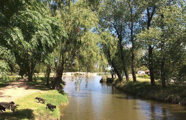 San Antonio de Areco and Lujan Day Trip from Buenos Aires