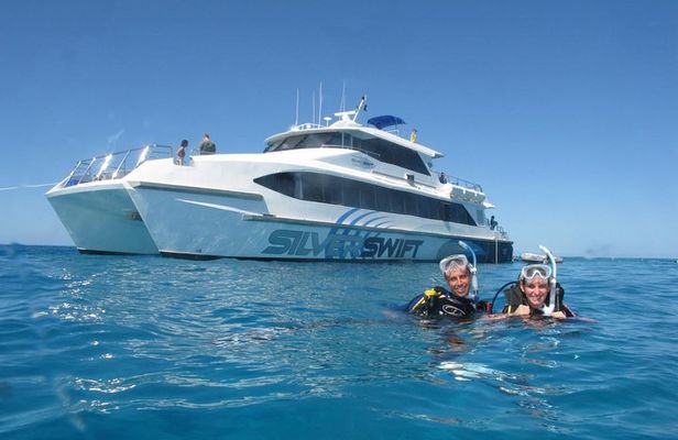 Silverswift Dive and Snorkel Great Barrier Reef Cruise