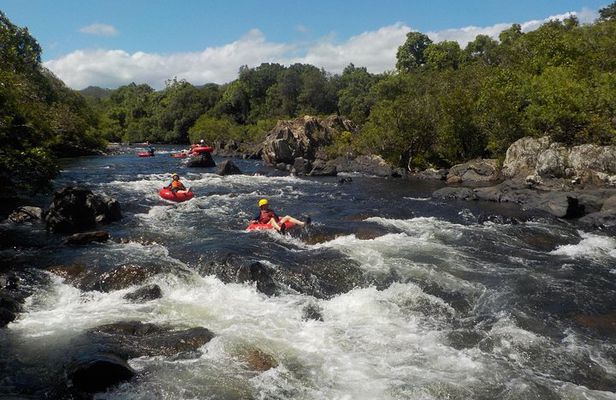 Rainforest River Tubing from Cairns