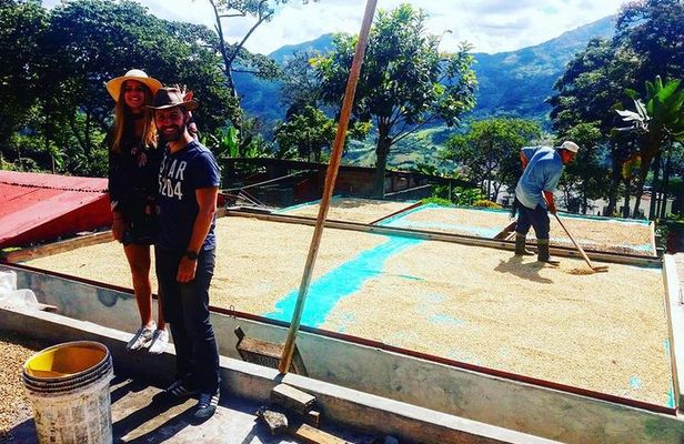 Guatape coffee tour express colombia