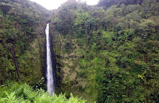 Big Island Volcano Adventure from Kona: Small Group