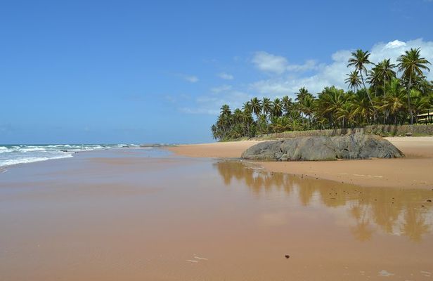 Full-Day Beach Hopping Tour from Salvador to Praia do Forte